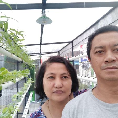 Titan'S Greenhouse Бануванги Екстериор снимка